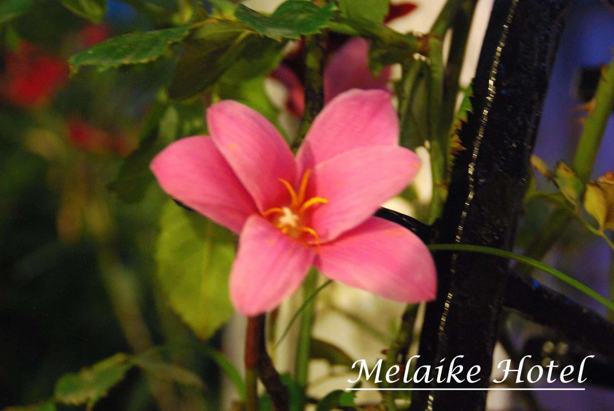 Melaike Hotel Foça Buitenkant foto